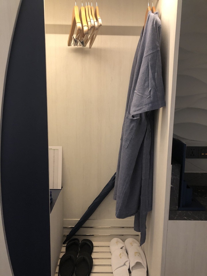 クローゼット外観(開いた状態)