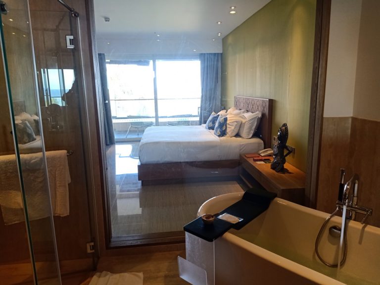 バスルーム(中から客室)