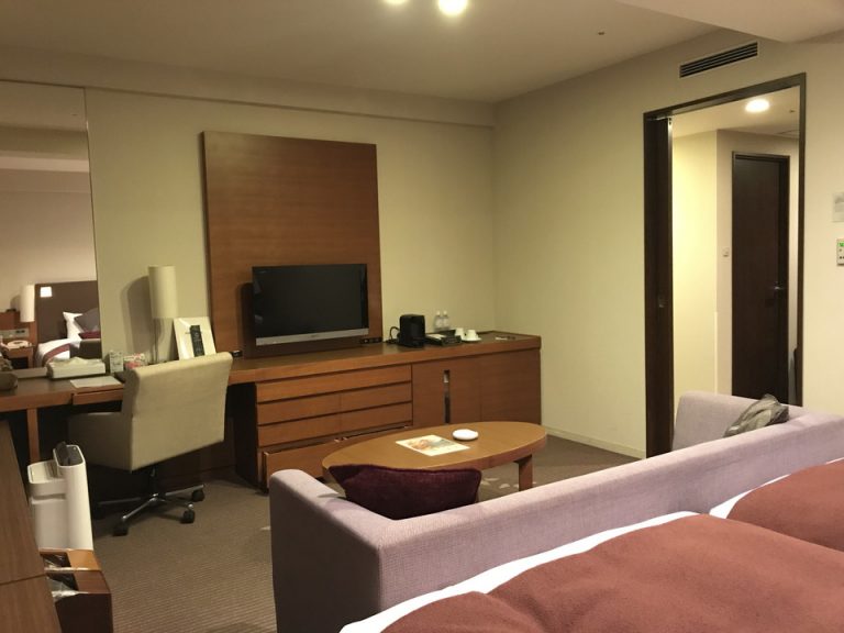 客室全体(窓際方向)