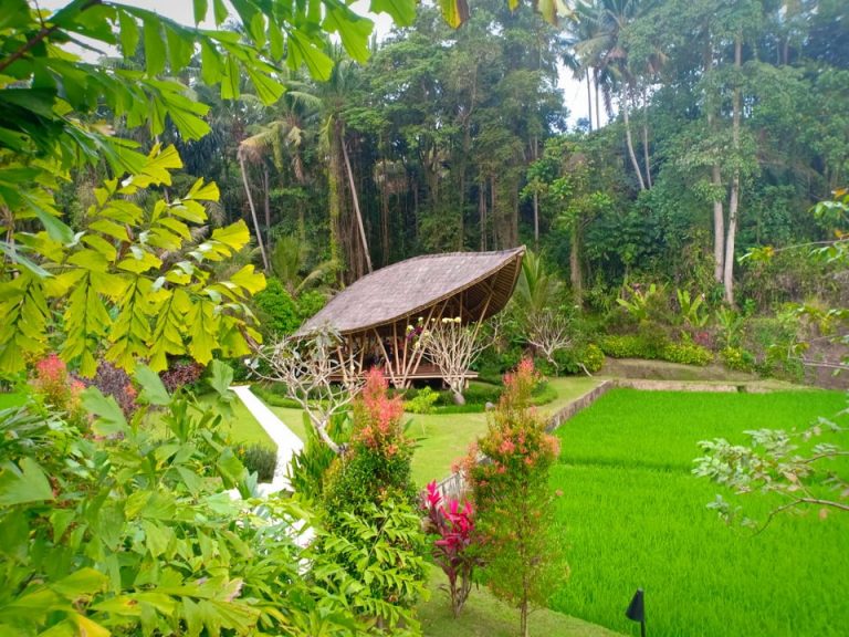 アクティビティ(アンティグラビティヨガ)