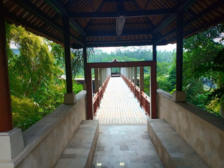 廊下(カープールからロビーの建物への道)