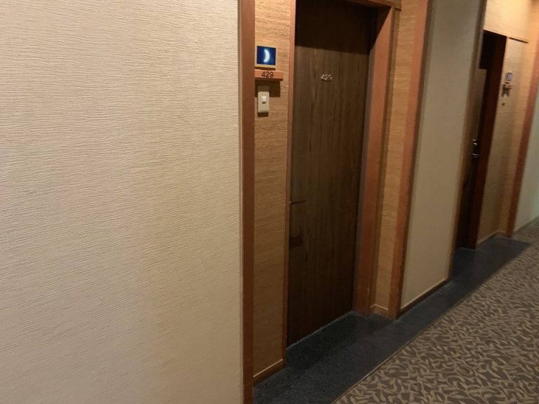 客室入口付近廊下
