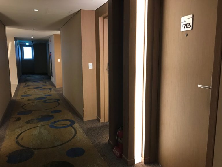 客室入口付近廊下