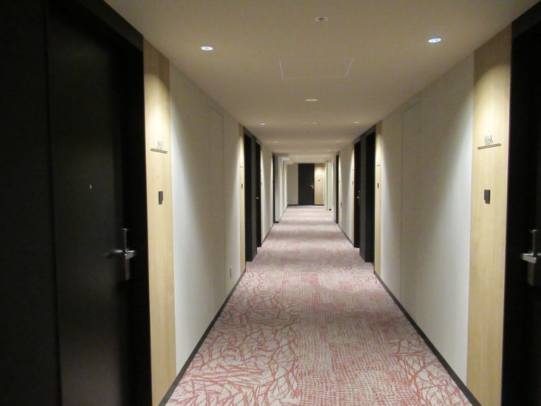 客室入口付近廊下