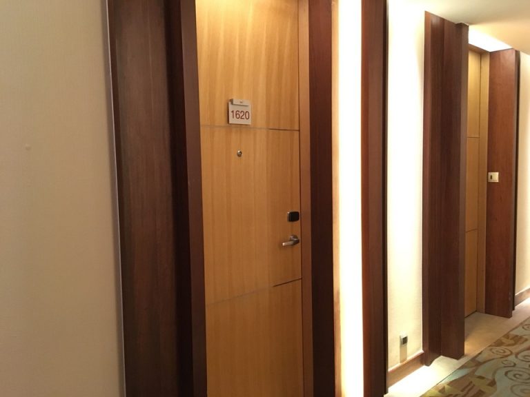 客室入口付近廊下