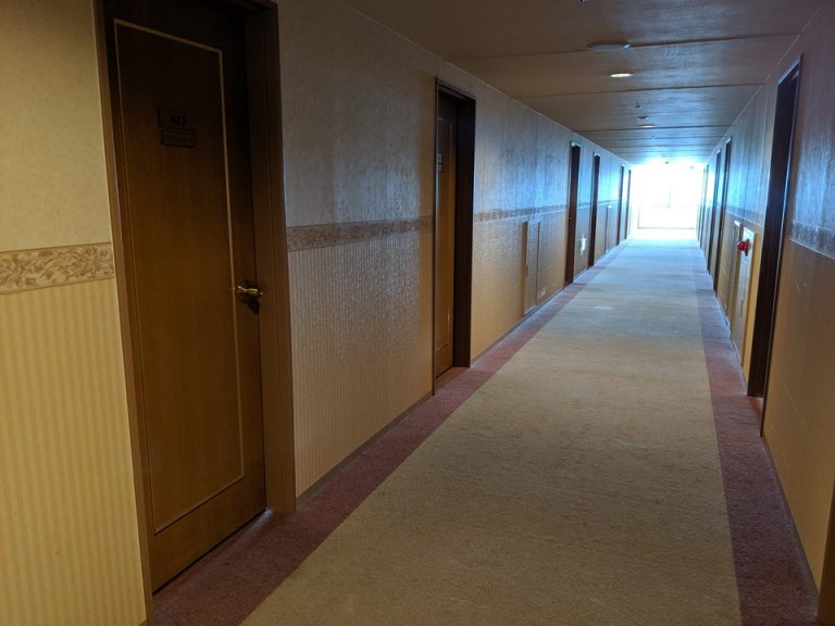 客室入口付近廊下