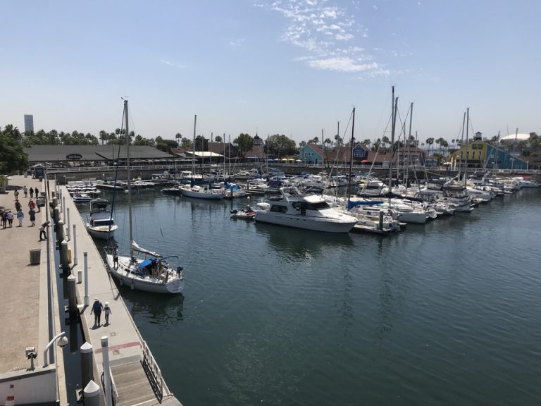 ハーバー周りにはバーやレストランもありました。