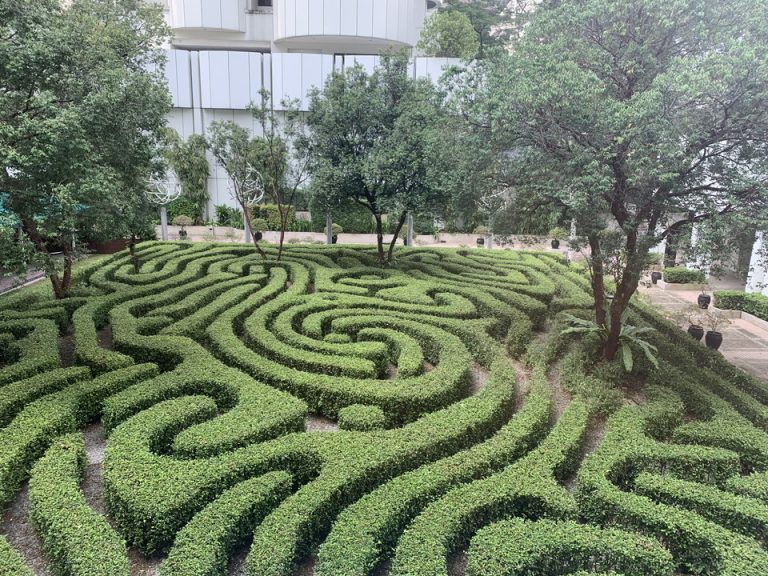 庭2(施錠されていた為建物窓から撮影)
