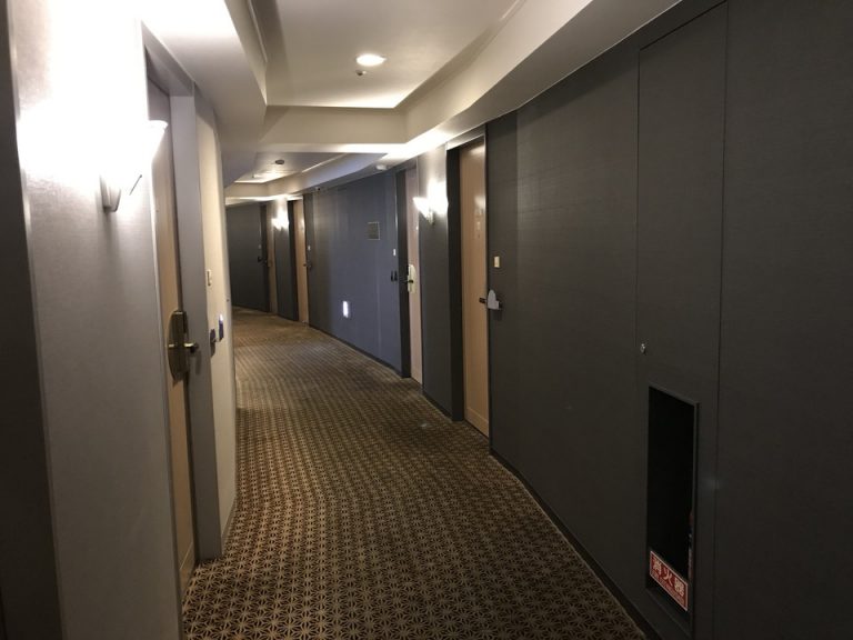 客室前の廊下は照明が暗めです