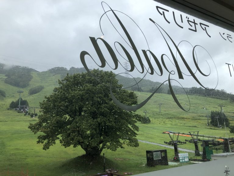 朝食、昼食、夕食時利用されるレストラン内観(3)