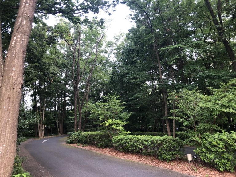 ホテル正門からのアプローチ