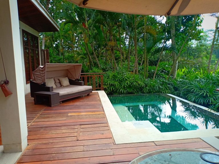 客室(テラス&プール1)