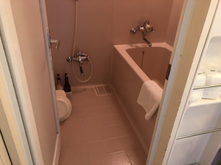 バスルーム入口から全景(5)