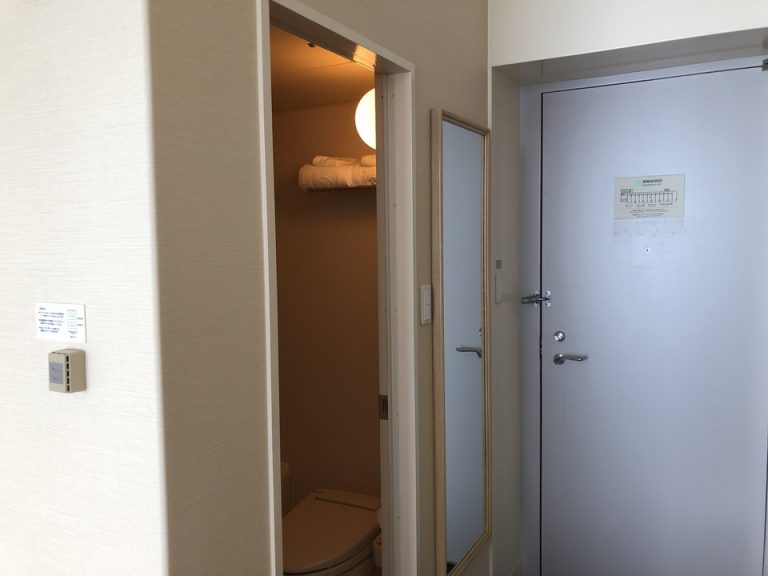 入口ドア内観 左側はトイレです