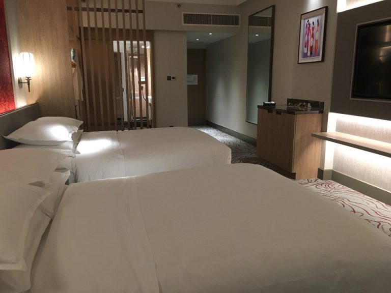 客室内観(窓から)