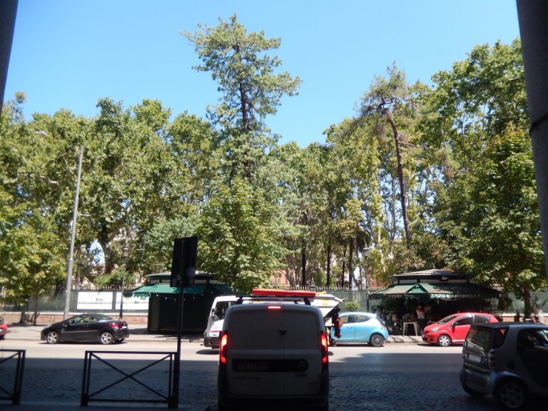 ホテルの前の公園