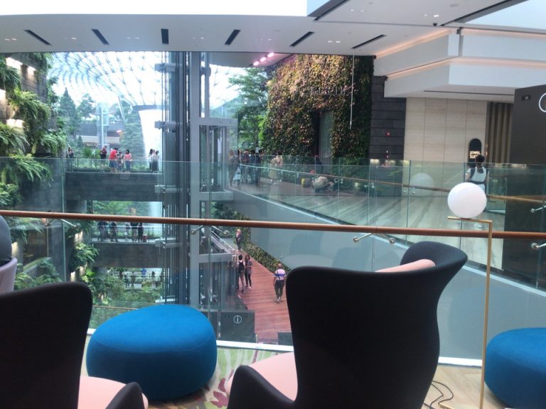 ラウンジからの景色