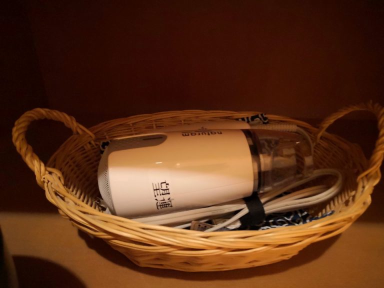 39_望雲_客室のバス・トイレ_ドライヤー