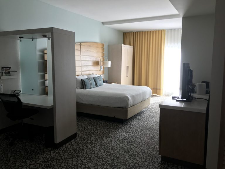 客室全体入り口から窓側にかけて