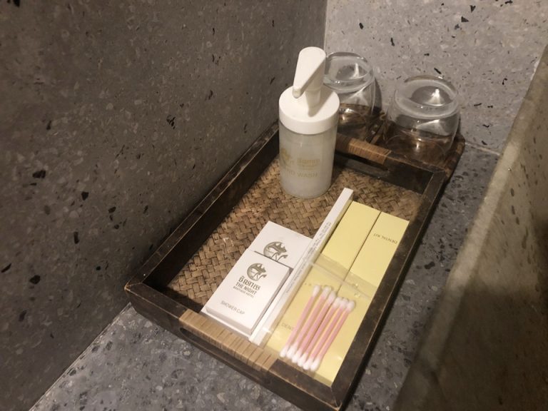 アメニティは歯ブラシやシャワーキャップ、カミソリ等がありました