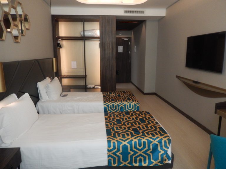 客室全体(入口方向)