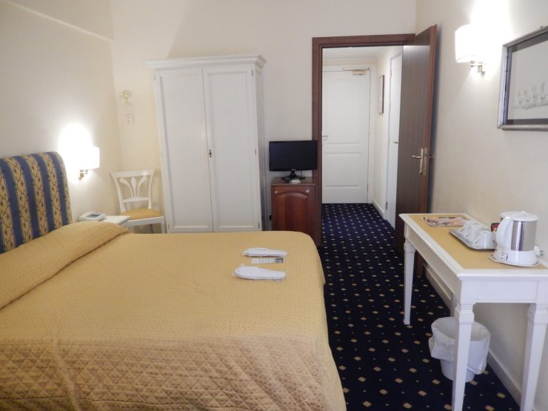 客室全体(入口方向)