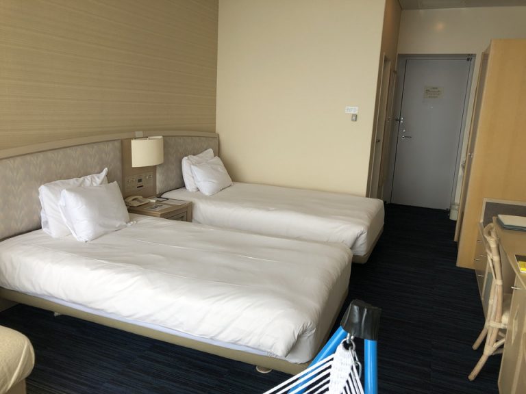 客室全体(入り口方向)