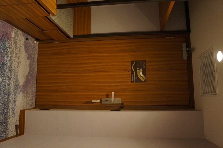 客室入口内観ドア