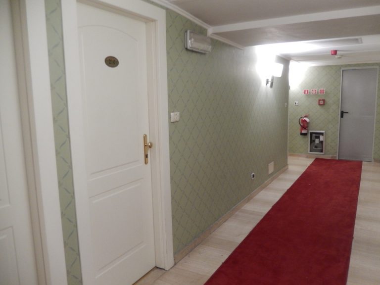 客室入口付近廊下