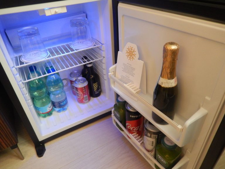 冷蔵庫(開けた状態)