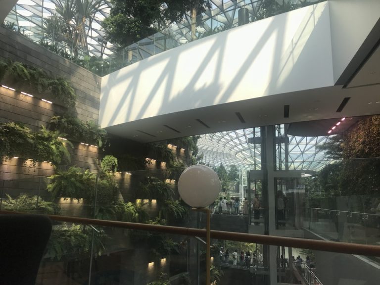 ラウンジからの眺め