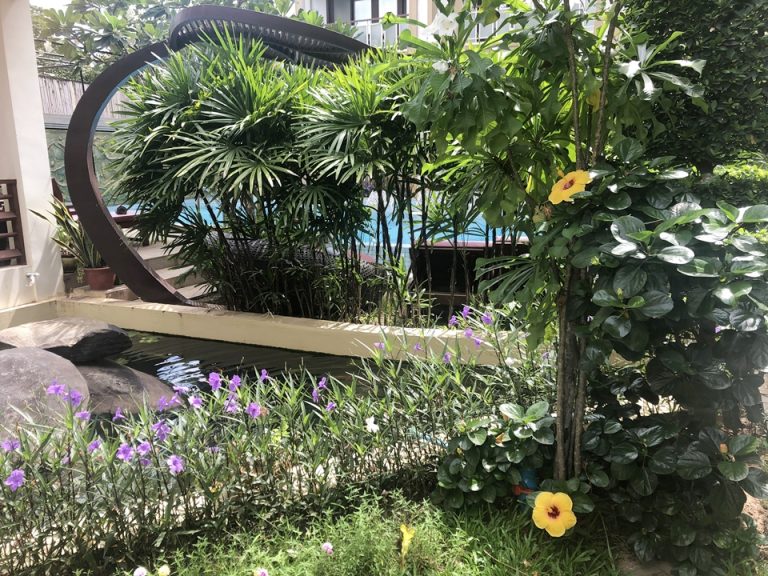 中庭には南国らしいお花が沢山咲いています