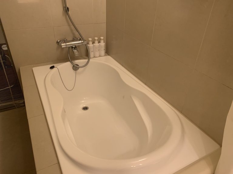 バスルーム入口から撮影