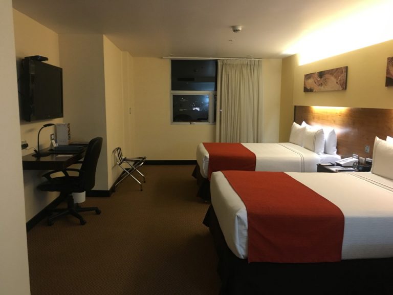客室全体(窓際方面)