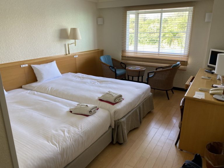 客室全体(入口方向)(1)