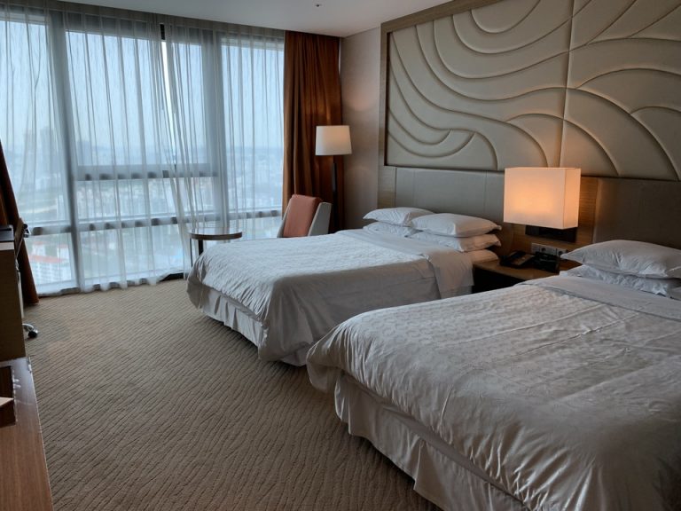 客室_客室全体(窓際方面)