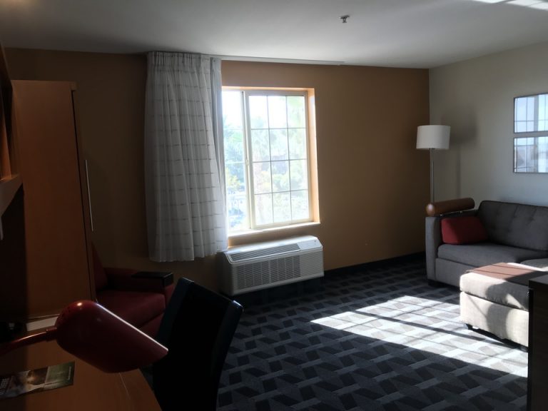 日中はいい日差しが入ってきました