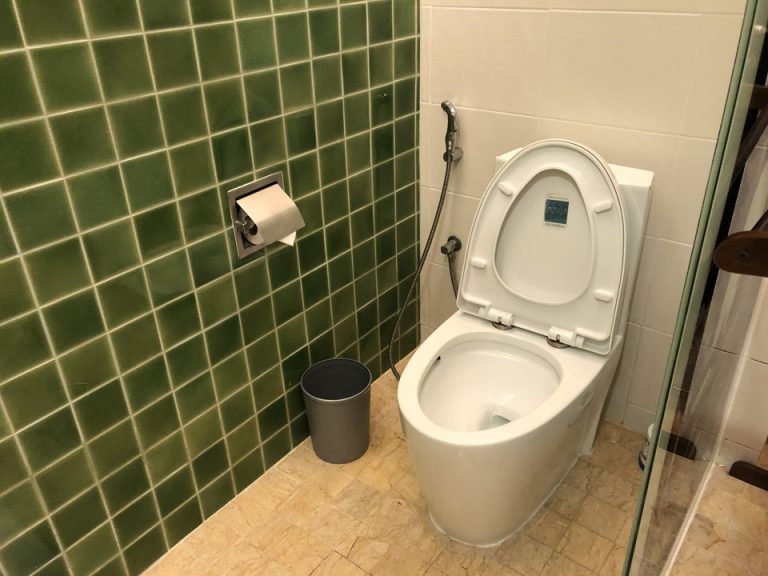 マスタールームのトイレ