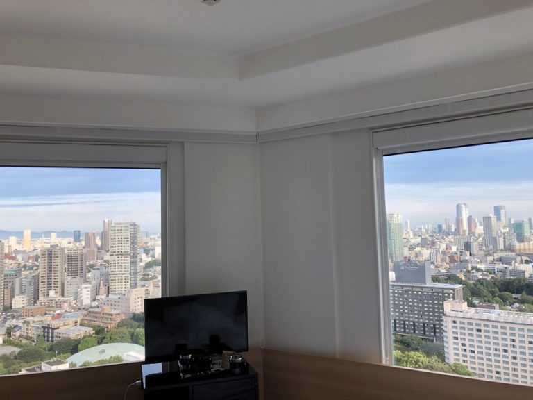 富士山 新宿 六本木 東京タワー レインボーブリッジを一望