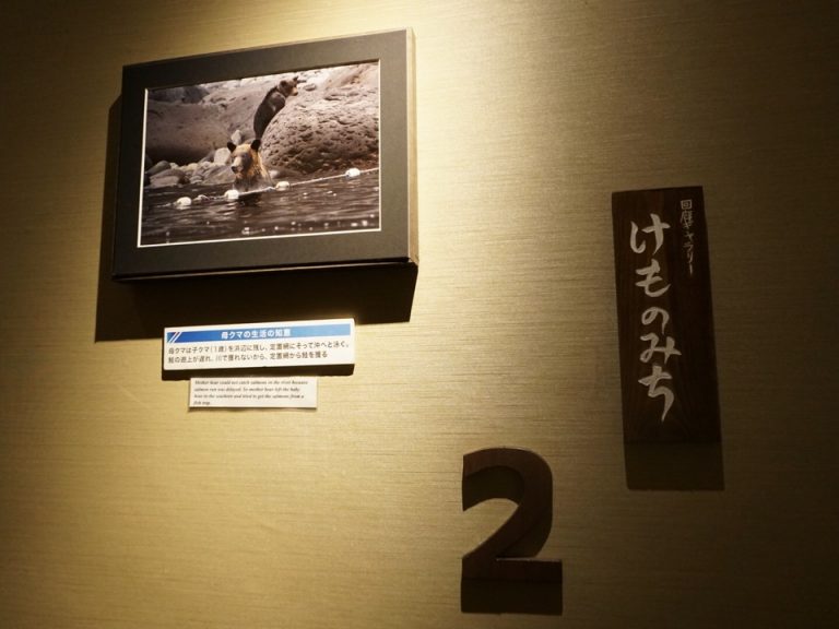 階段には写真のギャラリーが