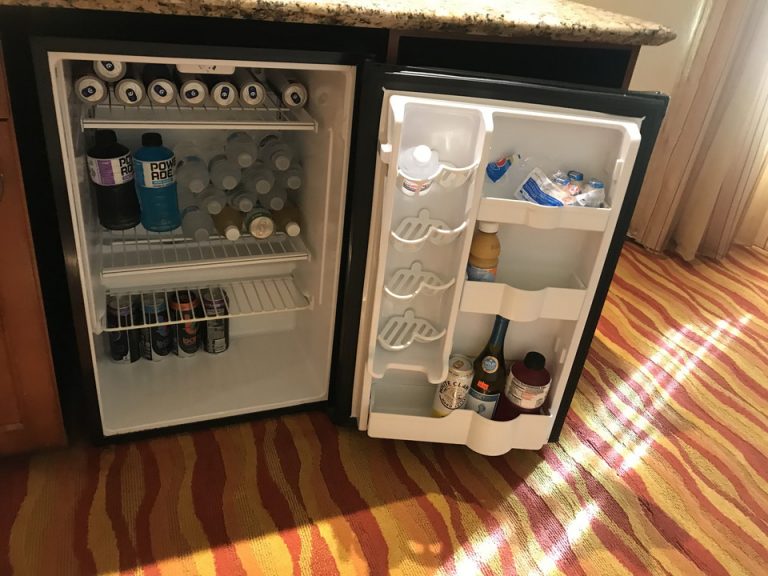 持ち込んだジュースやワインビールなどを入れてもまだまだスペースがありました