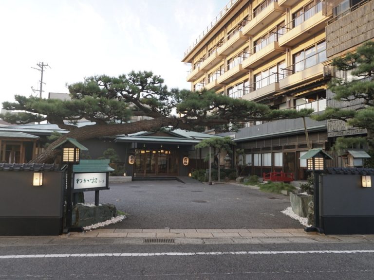 宿のエントランスには松が