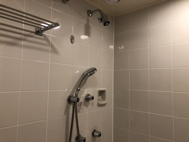 固定式シャワーとハンドシャワー