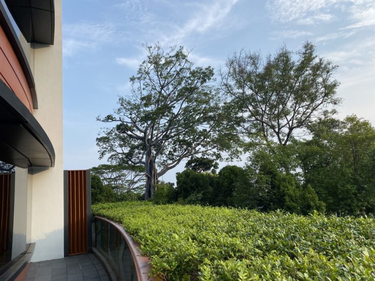 バルコニーテラス2