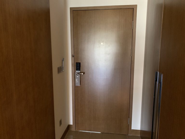 客室入口内観ドア(1)
