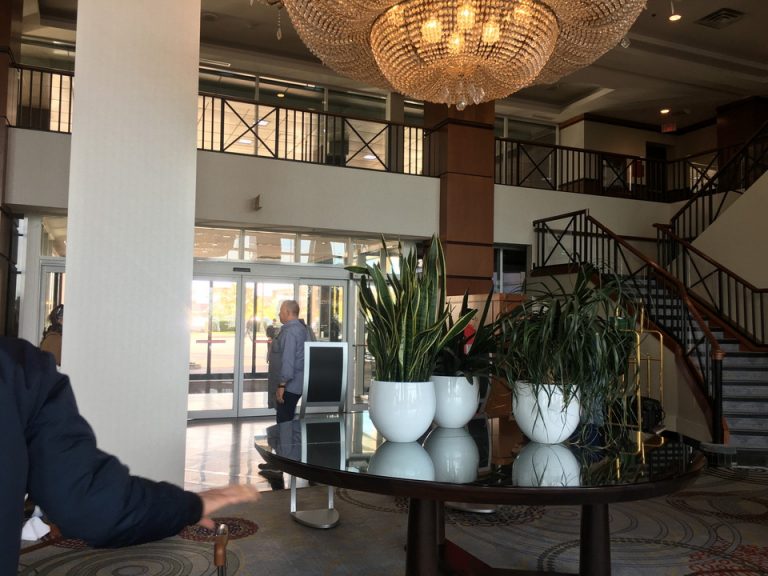 エントランス内観