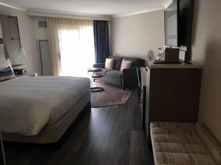 客室全体(窓際方面)・ソファ