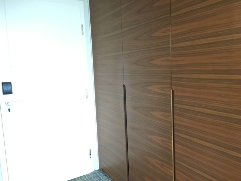 客室ドア(内側,クローゼット)