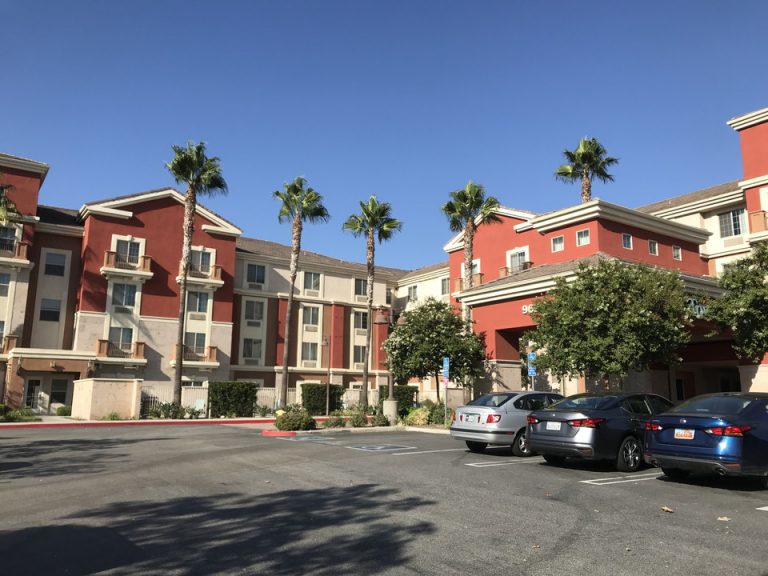 ホテルを囲むようにパームツリーか並んでて可愛らしかったです