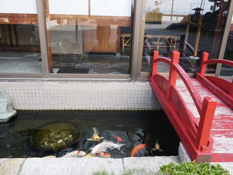 外の庭には鯉も